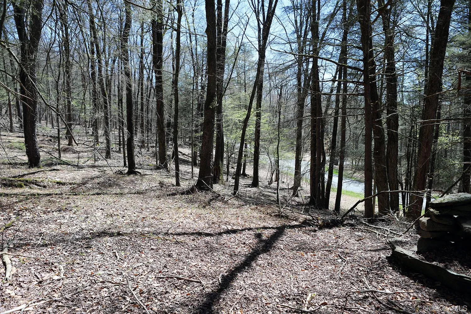 Lot 29 Kenoza Trail, Delaware, NY, ,Land,For Rent,Kenoza,0,950975 Lot 29 Kenoza Trail, Delaware, NY, ,Land,For Rent,Kenoza,0,950975