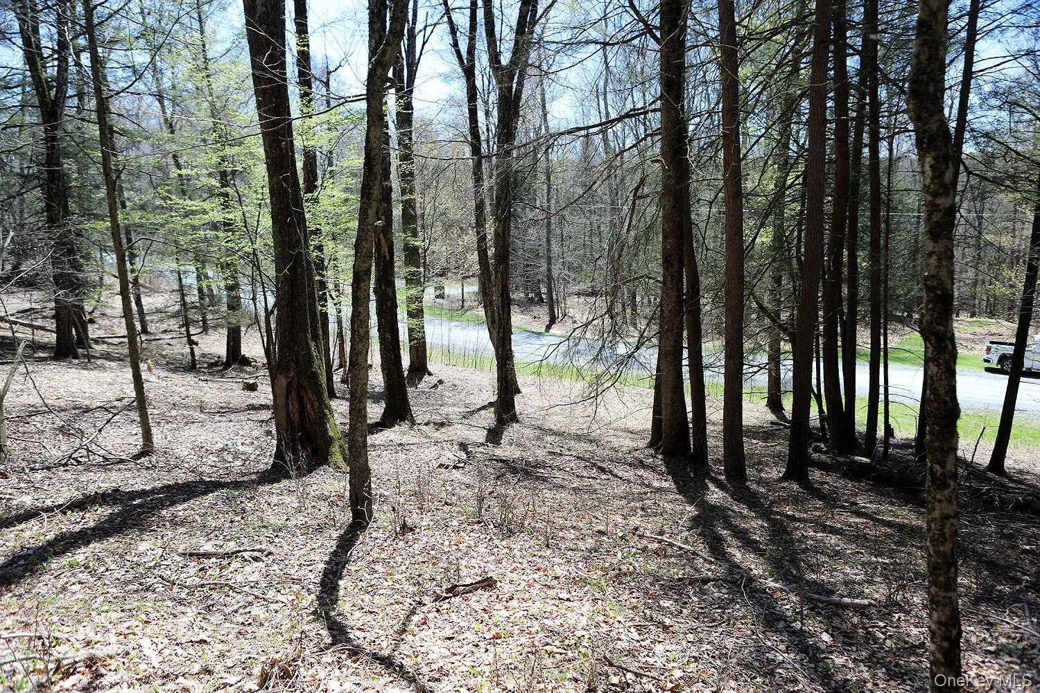 Lot 29 Kenoza Trail, Delaware, NY, ,Land,For Rent,Kenoza,0,950975 Lot 29 Kenoza Trail, Delaware, NY, ,Land,For Rent,Kenoza,0,950975