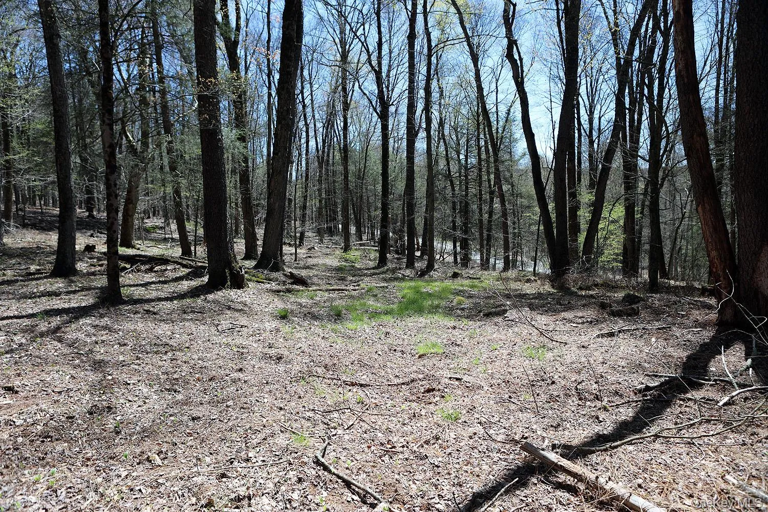 Lot 29 Kenoza Trail, Delaware, NY, ,Land,For Rent,Kenoza,0,950975 Lot 29 Kenoza Trail, Delaware, NY, ,Land,For Rent,Kenoza,0,950975