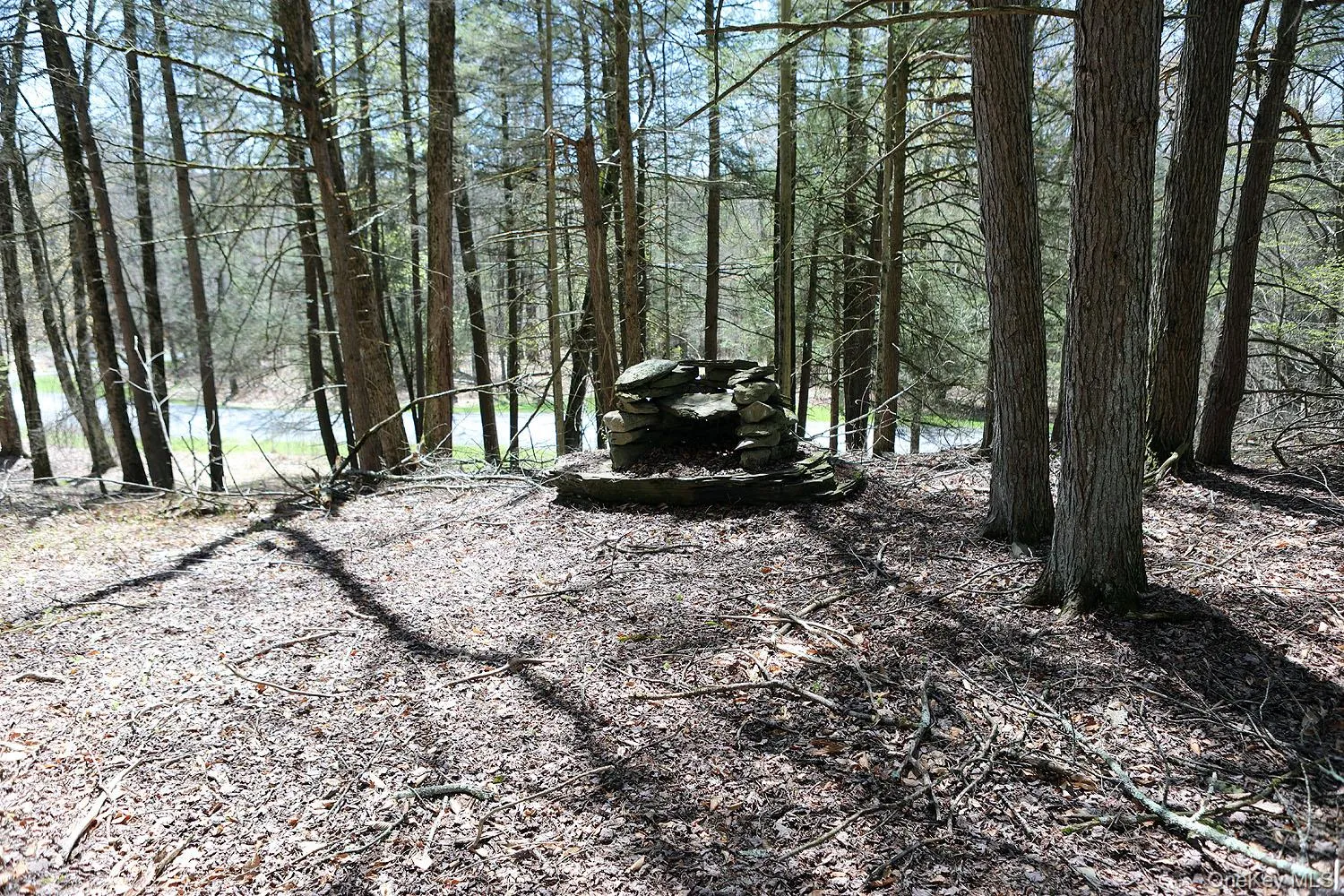 Lot 29 Kenoza Trail, Delaware, NY, ,Land,For Rent,Kenoza,0,950975 Lot 29 Kenoza Trail, Delaware, NY, ,Land,For Rent,Kenoza,0,950975