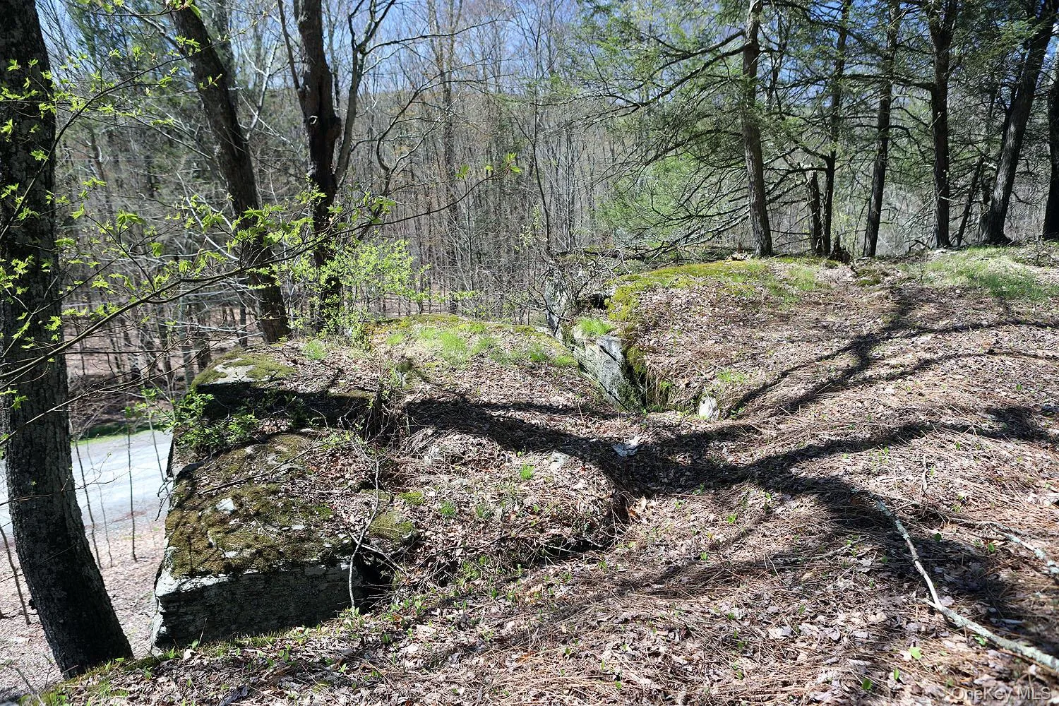 Lot 29 Kenoza Trail, Delaware, NY, ,Land,For Rent,Kenoza,0,950975 Lot 29 Kenoza Trail, Delaware, NY, ,Land,For Rent,Kenoza,0,950975