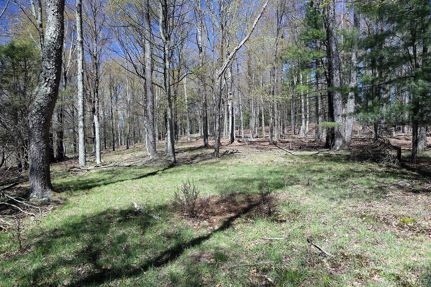 Lot 29 Kenoza Trail, Delaware, NY, ,Land,For Rent,Kenoza,0,950975 Lot 29 Kenoza Trail, Delaware, NY, ,Land,For Rent,Kenoza,0,950975