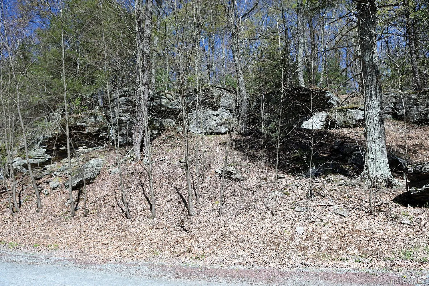 Lot 29 Kenoza Trail, Delaware, NY, ,Land,For Rent,Kenoza,0,950975 Lot 29 Kenoza Trail, Delaware, NY, ,Land,For Rent,Kenoza,0,950975