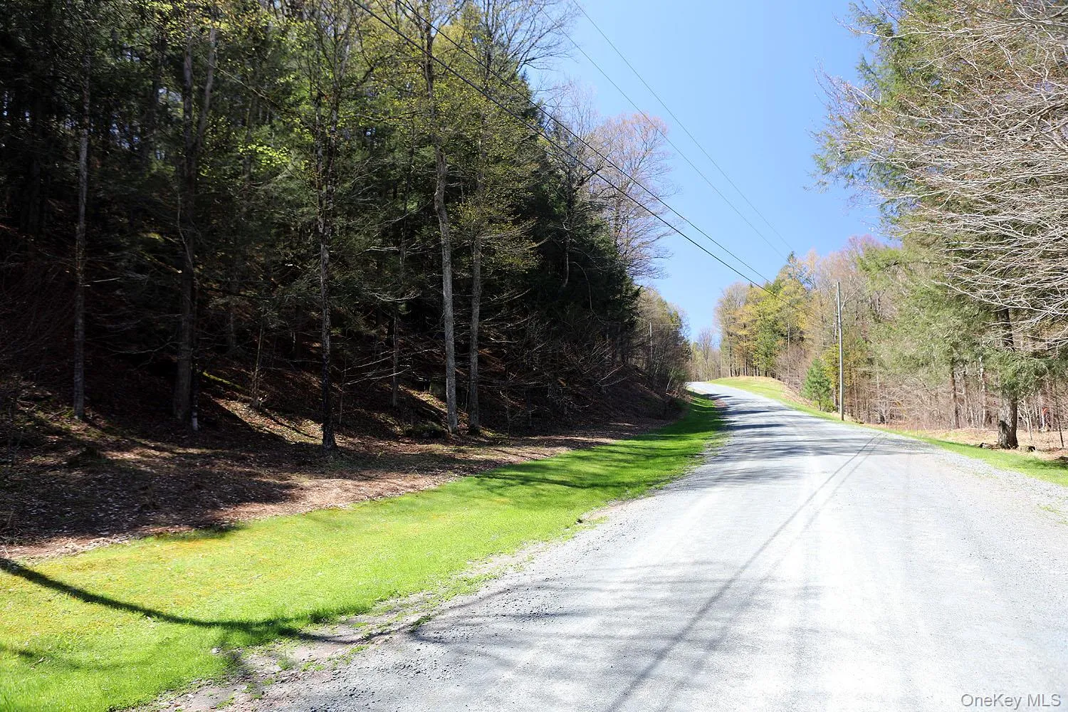 Lot 29 Kenoza Trail, Delaware, NY, ,Land,For Rent,Kenoza,0,950975 Lot 29 Kenoza Trail, Delaware, NY, ,Land,For Rent,Kenoza,0,950975