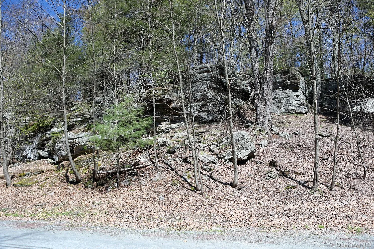 Lot 29 Kenoza Trail, Delaware, NY, ,Land,For Rent,Kenoza,0,950975 Lot 29 Kenoza Trail, Delaware, NY, ,Land,For Rent,Kenoza,0,950975