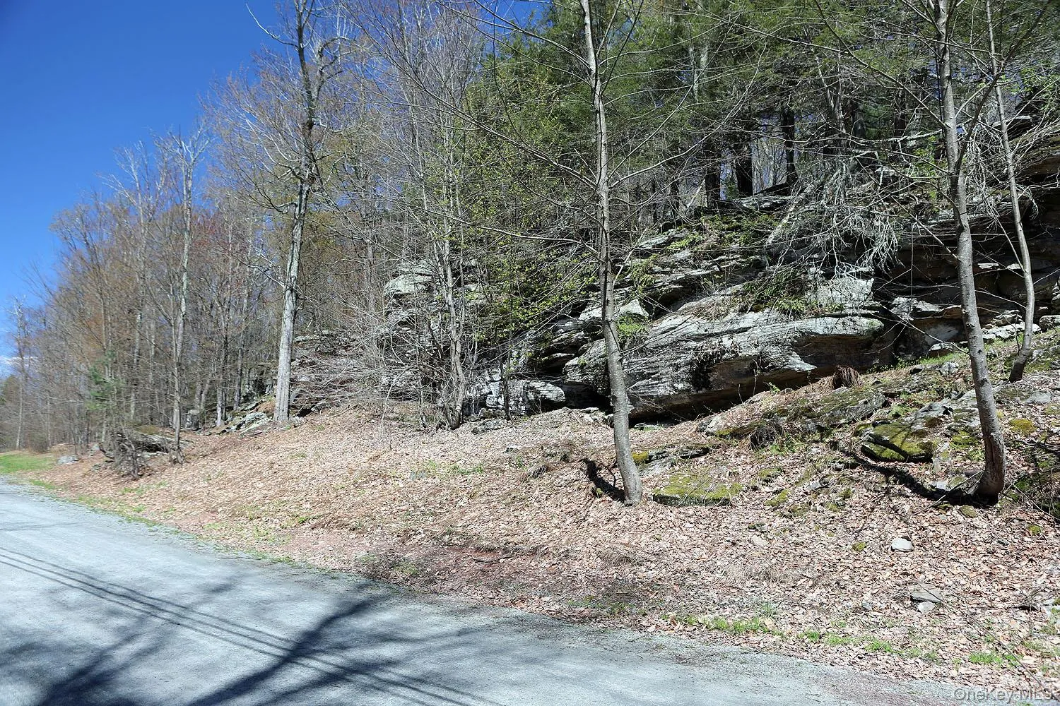Lot 29 Kenoza Trail, Delaware, NY, ,Land,For Rent,Kenoza,0,950975 Lot 29 Kenoza Trail, Delaware, NY, ,Land,For Rent,Kenoza,0,950975