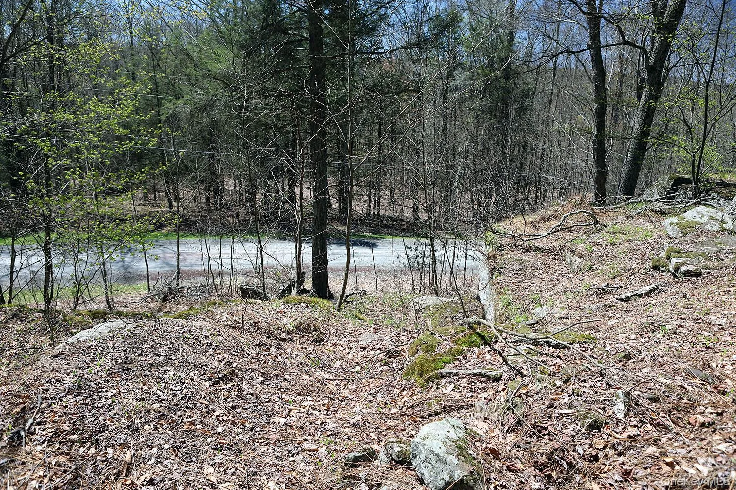 Lot 29 Kenoza Trail, Delaware, NY, ,Land,For Rent,Kenoza,0,950975 Lot 29 Kenoza Trail, Delaware, NY, ,Land,For Rent,Kenoza,0,950975