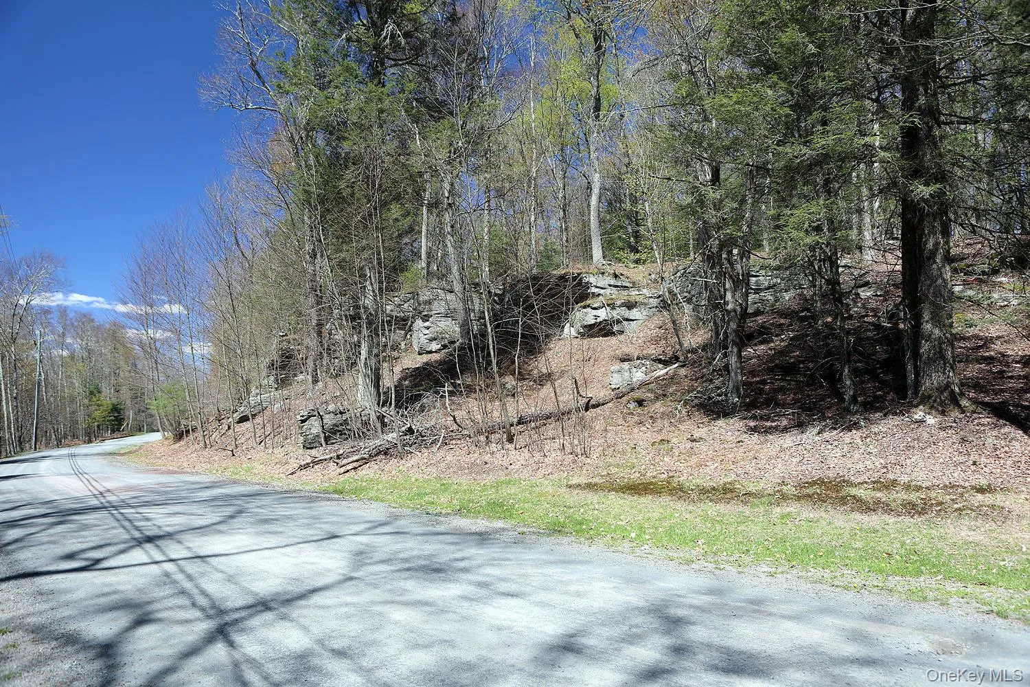 Lot 29 Kenoza Trail, Delaware, NY, ,Land,For Rent,Kenoza,0,950975 Lot 29 Kenoza Trail, Delaware, NY, ,Land,For Rent,Kenoza,0,950975