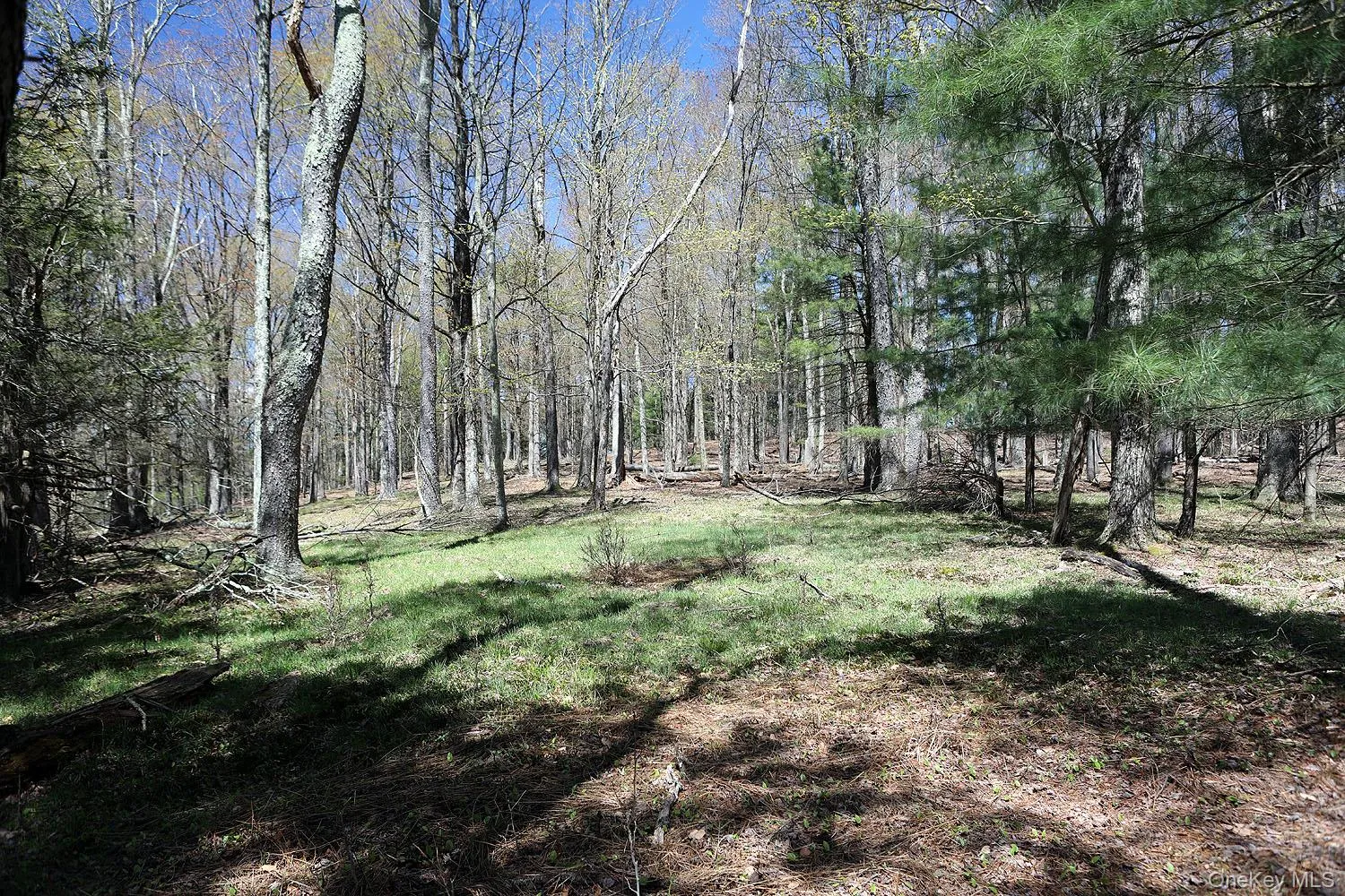 Lot 29 Kenoza Trail, Delaware, NY, ,Land,For Rent,Kenoza,0,950975 Lot 29 Kenoza Trail, Delaware, NY, ,Land,For Rent,Kenoza,0,950975