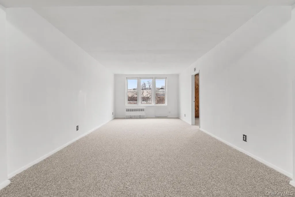 Carpeted spare room with radiator and baseboards Carpeted spare room with radiator and baseboards
