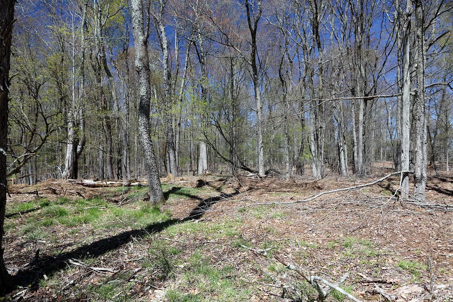 Lot 30 Kenoza Trail, Delaware, NY, ,Land,For Rent,Kenoza,0,951007 Lot 30 Kenoza Trail, Delaware, NY, ,Land,For Rent,Kenoza,0,951007