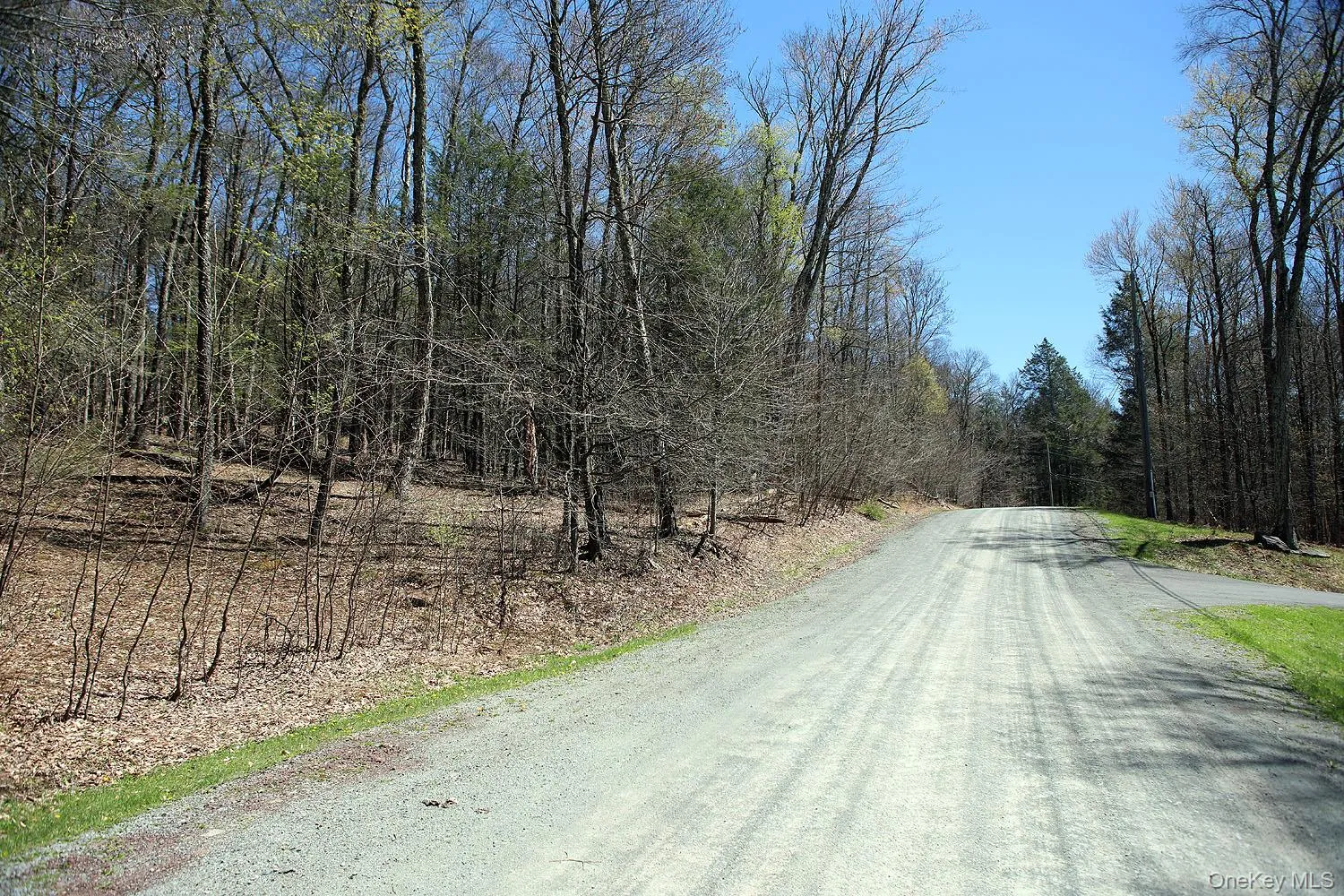 Lot 30 Kenoza Trail, Delaware, NY, ,Land,For Rent,Kenoza,0,951007 Lot 30 Kenoza Trail, Delaware, NY, ,Land,For Rent,Kenoza,0,951007