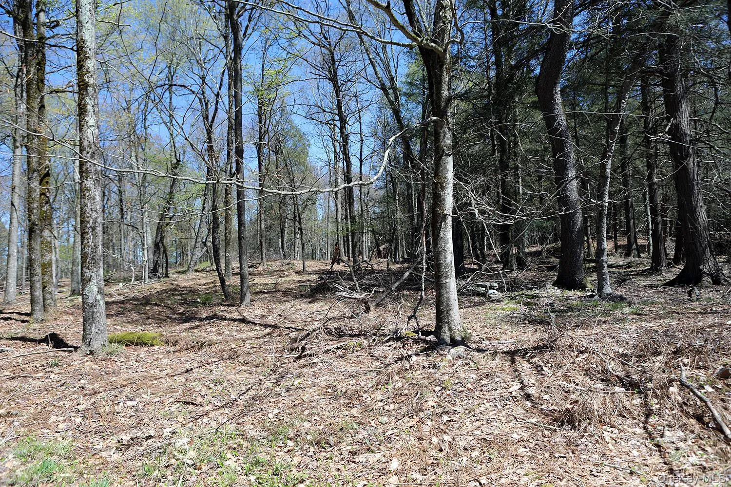 Lot 30 Kenoza Trail, Delaware, NY, ,Land,For Rent,Kenoza,0,951007 Lot 30 Kenoza Trail, Delaware, NY, ,Land,For Rent,Kenoza,0,951007