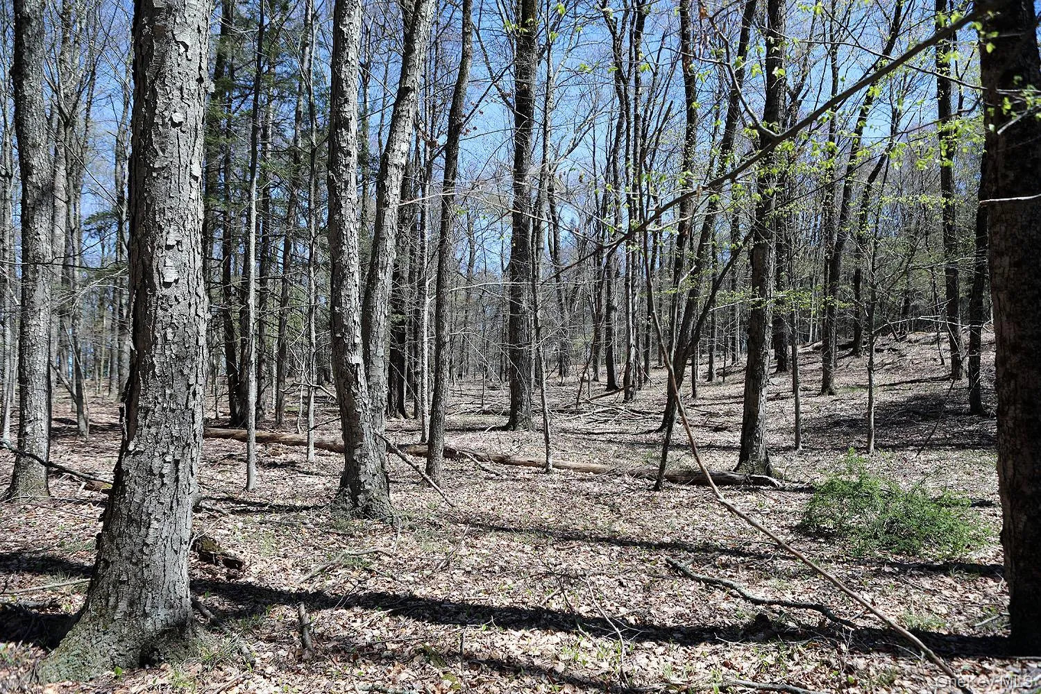 Lot 30 Kenoza Trail, Delaware, NY, ,Land,For Rent,Kenoza,0,951007 Lot 30 Kenoza Trail, Delaware, NY, ,Land,For Rent,Kenoza,0,951007
