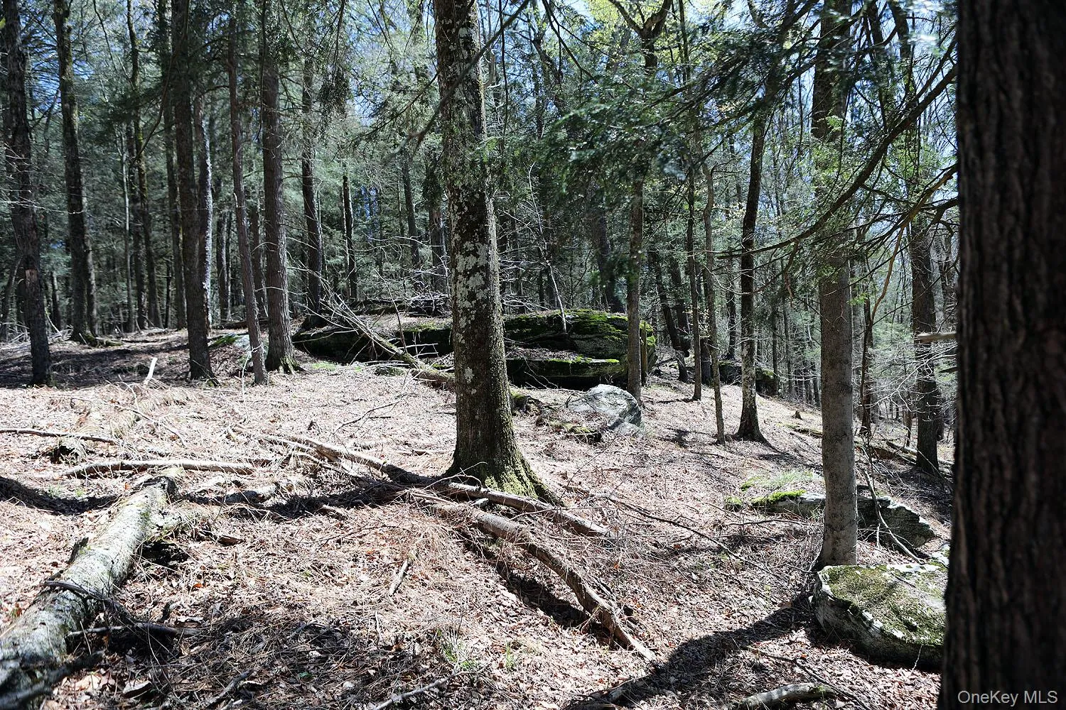 Lot 30 Kenoza Trail, Delaware, NY, ,Land,For Rent,Kenoza,0,951007 Lot 30 Kenoza Trail, Delaware, NY, ,Land,For Rent,Kenoza,0,951007