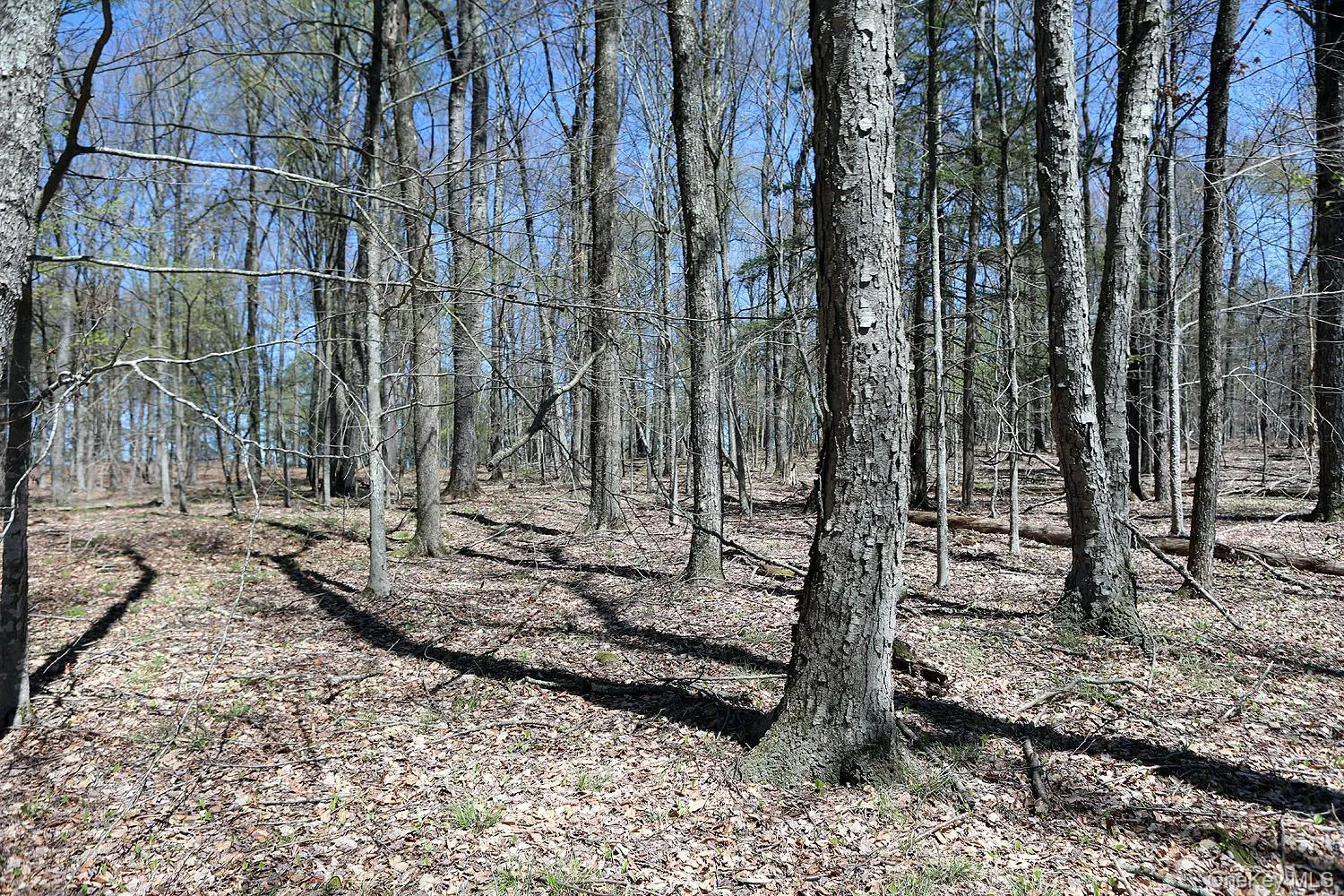 Lot 30 Kenoza Trail, Delaware, NY, ,Land,For Rent,Kenoza,0,951007 Lot 30 Kenoza Trail, Delaware, NY, ,Land,For Rent,Kenoza,0,951007