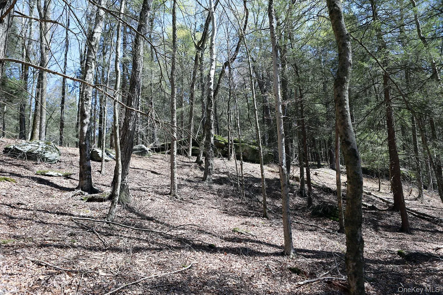 Lot 30 Kenoza Trail, Delaware, NY, ,Land,For Rent,Kenoza,0,951007 Lot 30 Kenoza Trail, Delaware, NY, ,Land,For Rent,Kenoza,0,951007