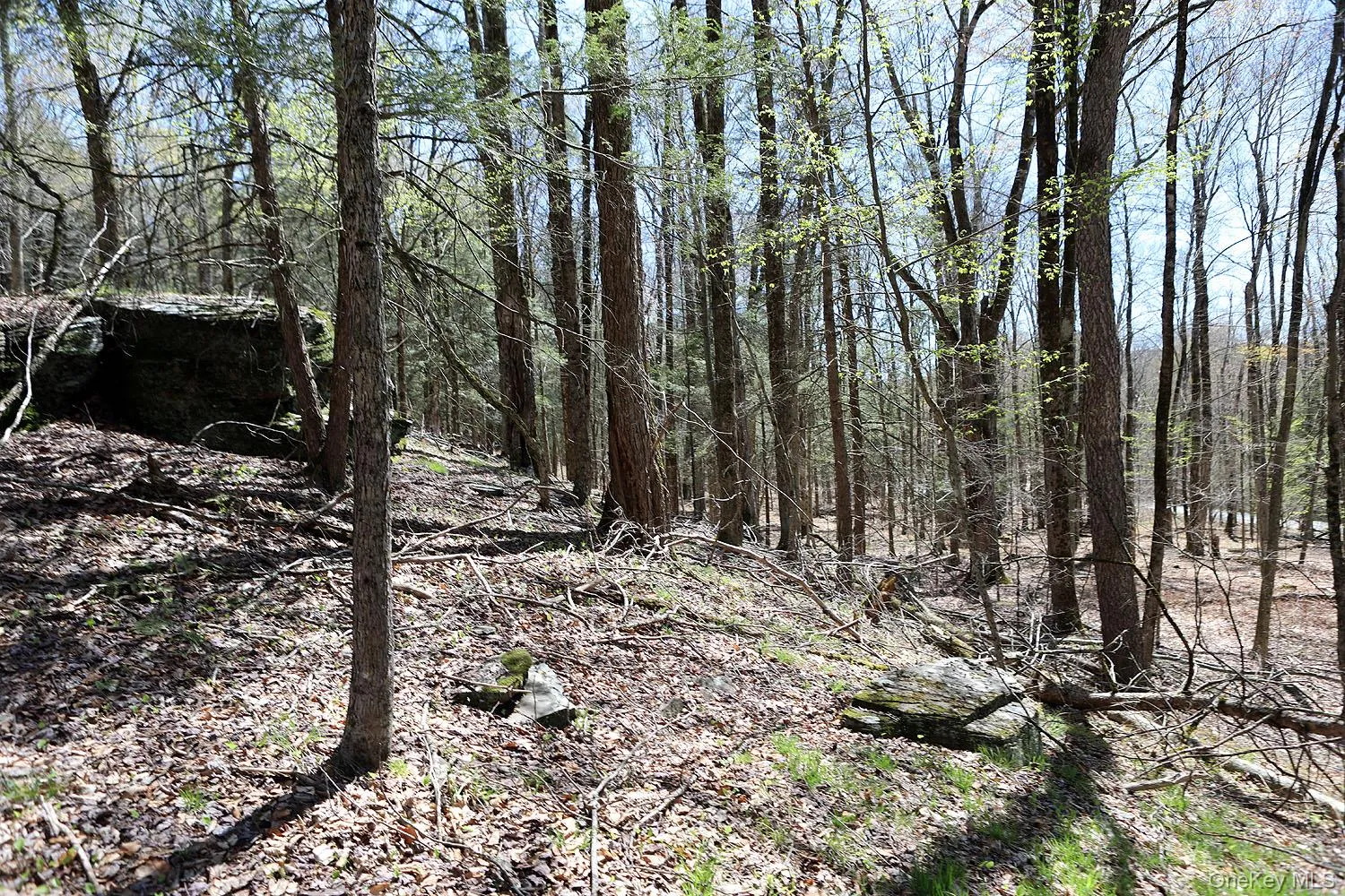 Lot 30 Kenoza Trail, Delaware, NY, ,Land,For Rent,Kenoza,0,951007 Lot 30 Kenoza Trail, Delaware, NY, ,Land,For Rent,Kenoza,0,951007