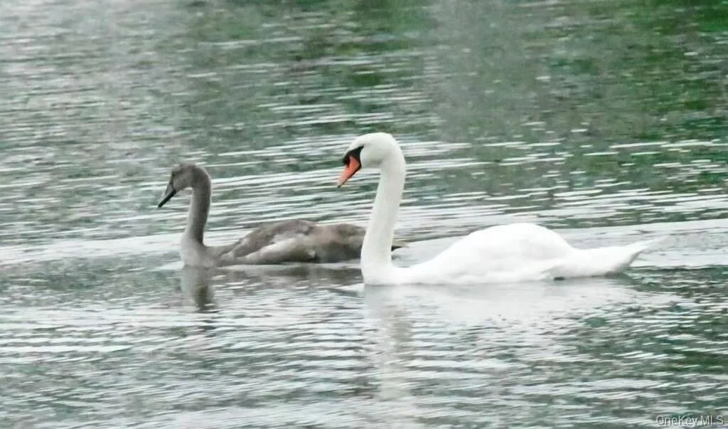 42 Towd Point Road, Southampton, NY, 3 Bedrooms Bedrooms, 6 Rooms Rooms,4 BathroomsBathrooms,Residential Lease,Idx,Towd Point,0,951044 42 Towd Point Road, Southampton, NY, 3 Bedrooms Bedrooms, 6 Rooms Rooms,4 BathroomsBathrooms,Residential Lease,Idx,Towd Point,0,951044