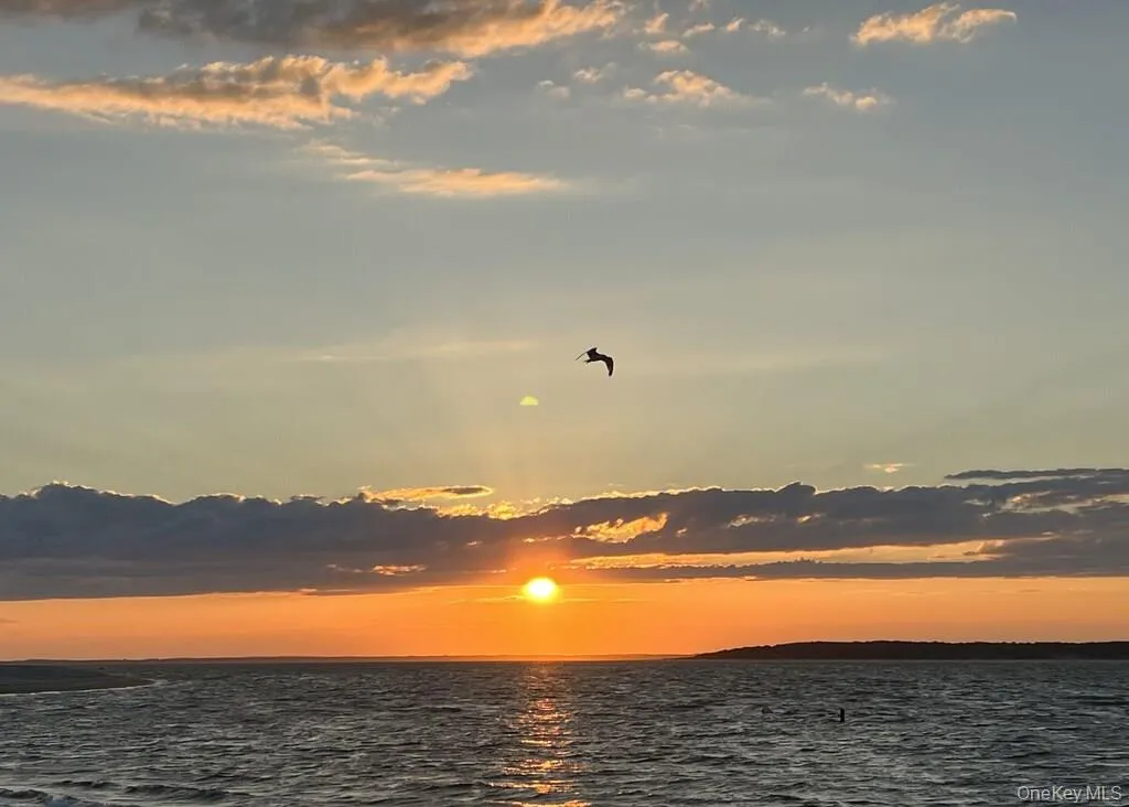 42 Towd Point Road, Southampton, NY, 3 Bedrooms Bedrooms, 6 Rooms Rooms,4 BathroomsBathrooms,Residential Lease,Idx,Towd Point,0,951044 42 Towd Point Road, Southampton, NY, 3 Bedrooms Bedrooms, 6 Rooms Rooms,4 BathroomsBathrooms,Residential Lease,Idx,Towd Point,0,951044