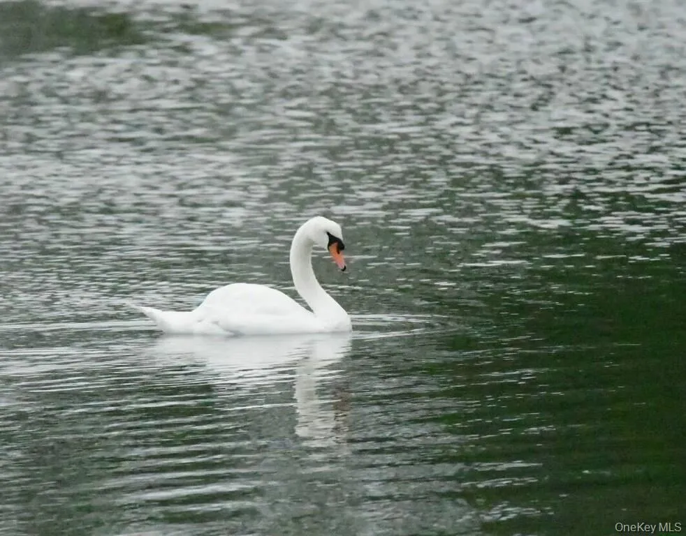 42 Towd Point Road, Southampton, NY, 3 Bedrooms Bedrooms, 6 Rooms Rooms,4 BathroomsBathrooms,Residential Lease,Idx,Towd Point,0,951044 42 Towd Point Road, Southampton, NY, 3 Bedrooms Bedrooms, 6 Rooms Rooms,4 BathroomsBathrooms,Residential Lease,Idx,Towd Point,0,951044