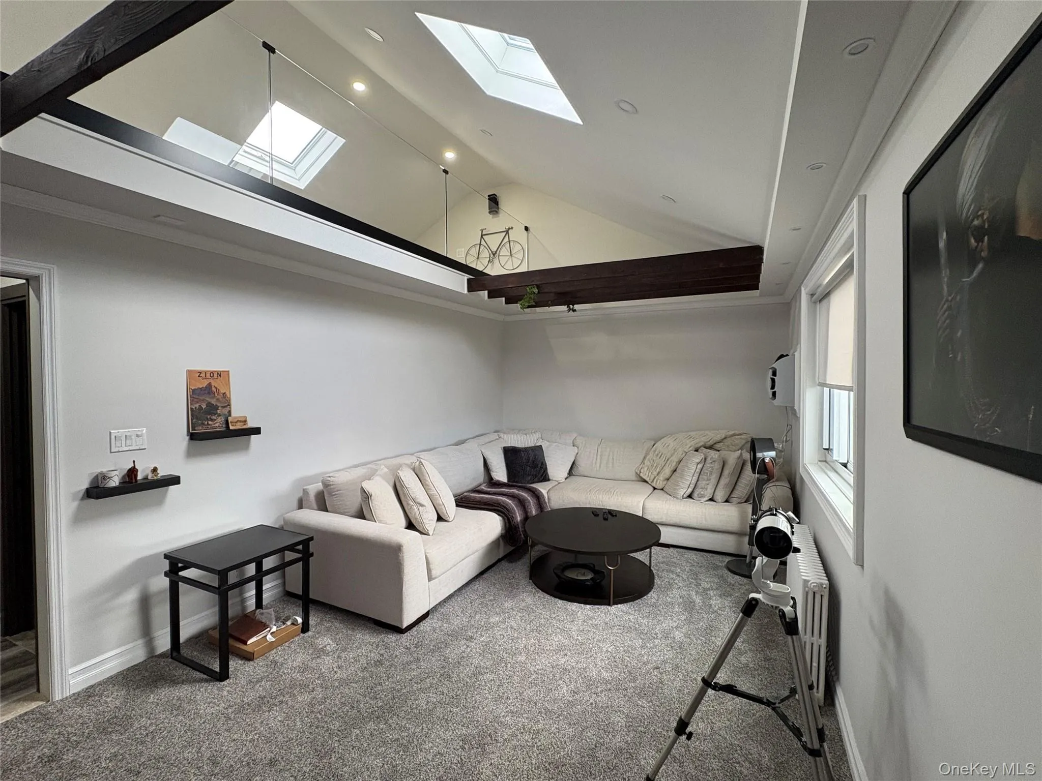 Living area featuring carpet flooring, high vaulted ceiling, and skylight Living area featuring carpet flooring, high vaulted ceiling, and skylight