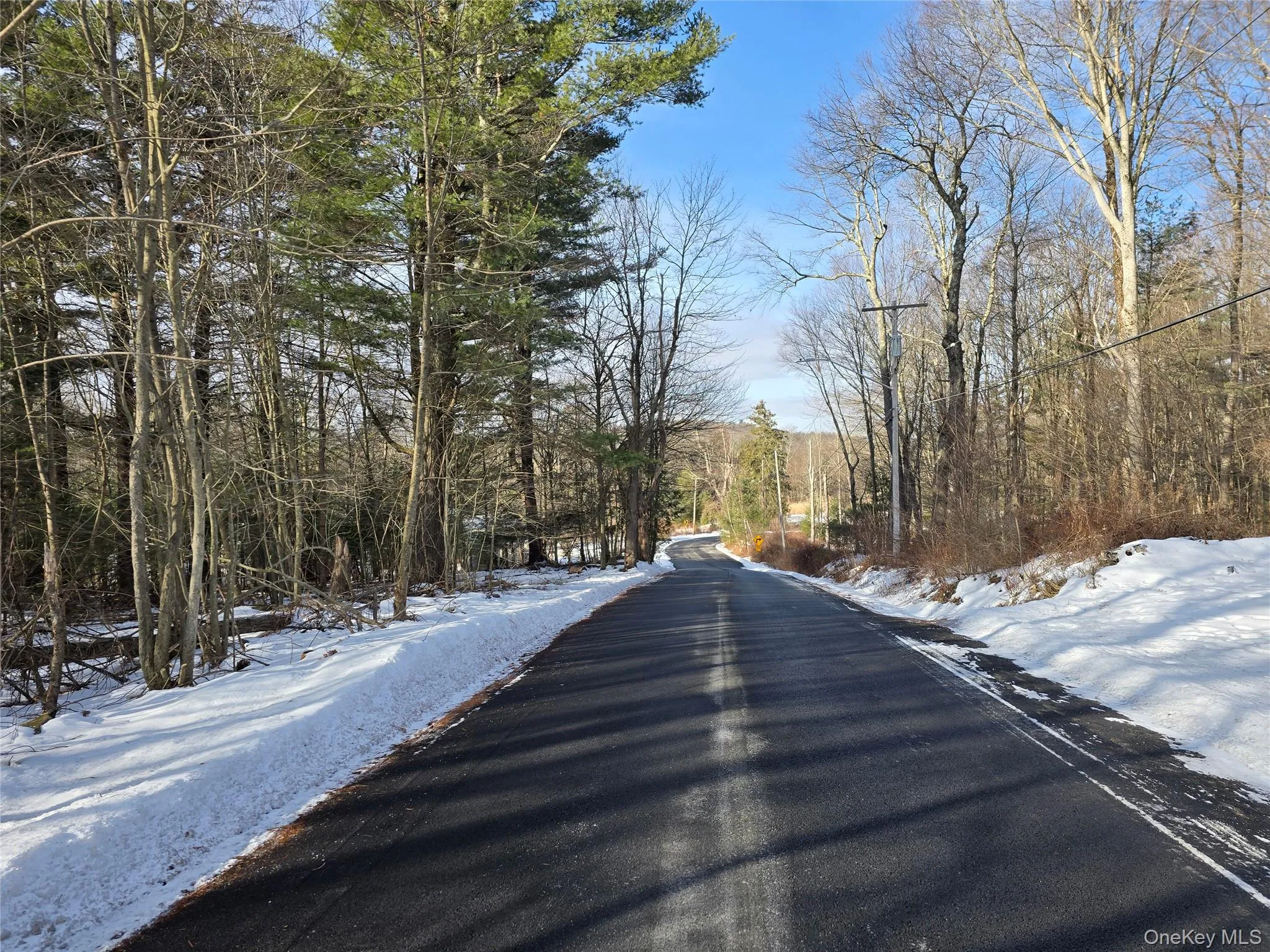 View of asphalt road featuring a view of trees View of asphalt road featuring a view of trees