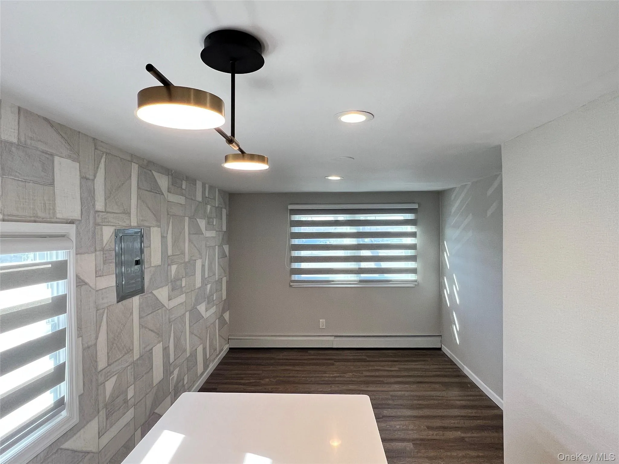 Unfurnished room with an accent wall, electric panel, dark wood-style flooring, recessed lighting, and a baseboard radiator Unfurnished room with an accent wall, electric panel, dark wood-style flooring, recessed lighting, and a baseboard radiator