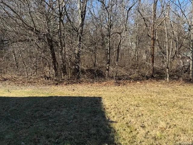 View of the lawn View of the lawn