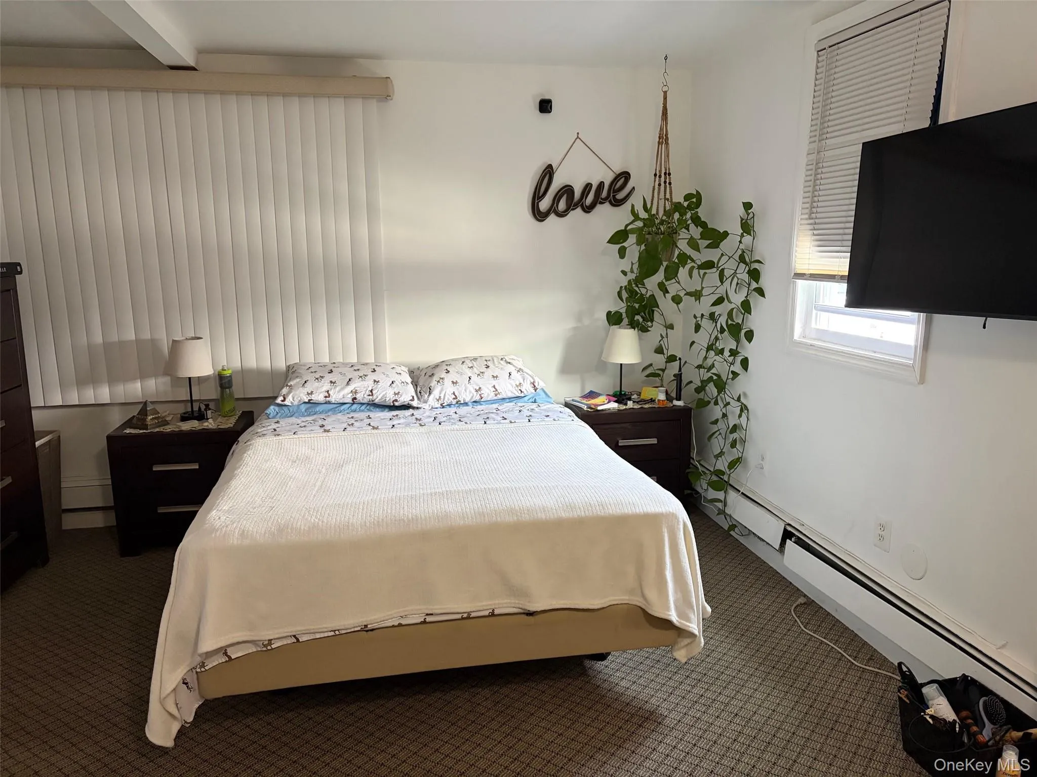 Bedroom with baseboard heating and carpet flooring Bedroom with baseboard heating and carpet flooring