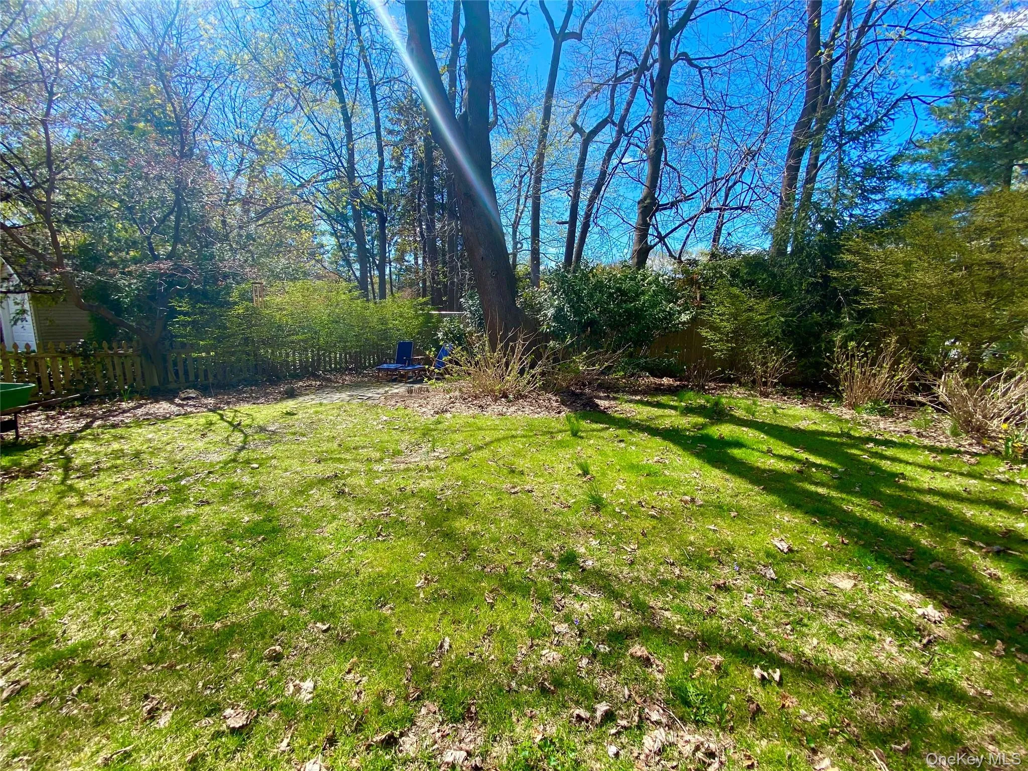 View of yard View of yard