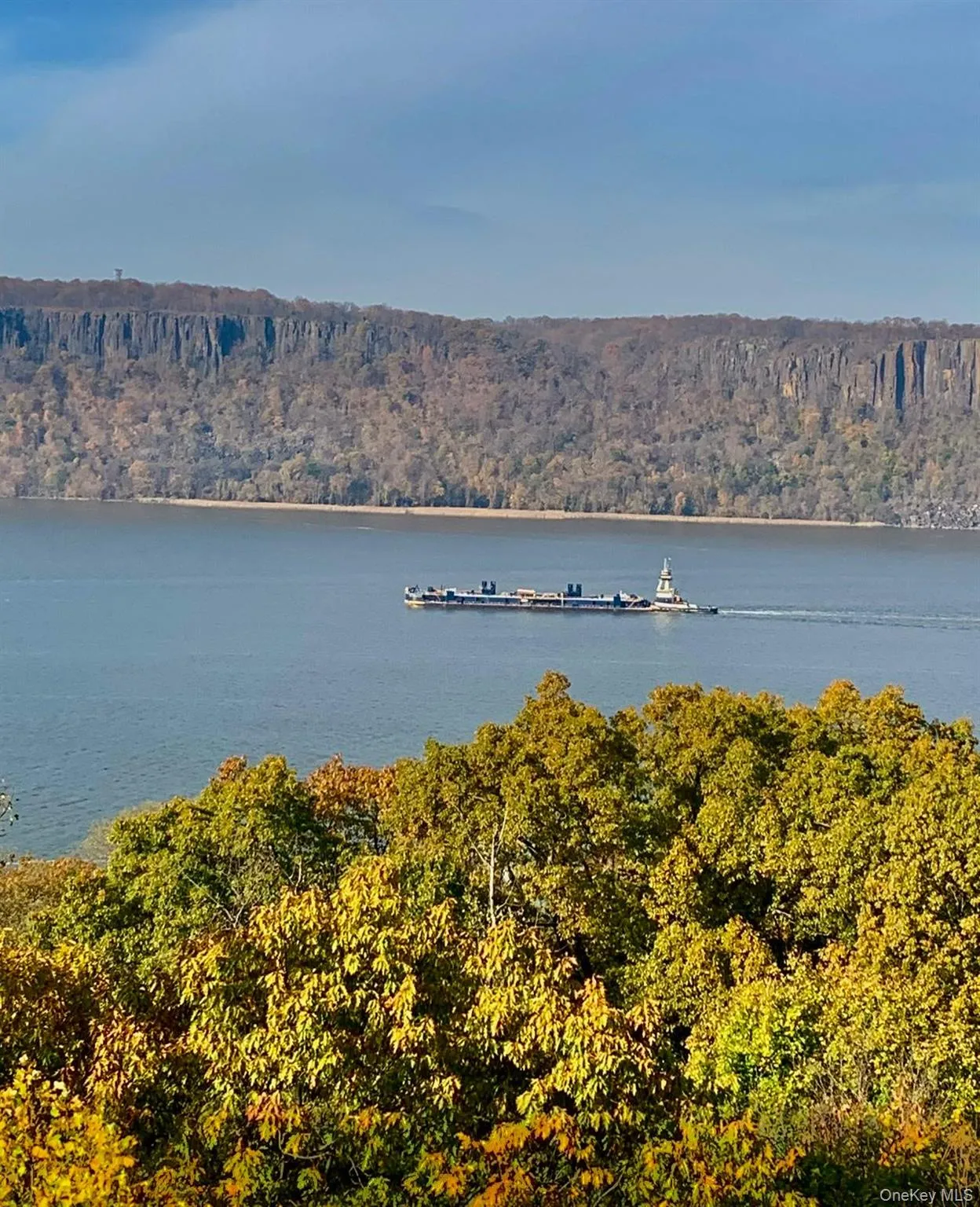 Water view with a heavily wooded area Water view with a heavily wooded area