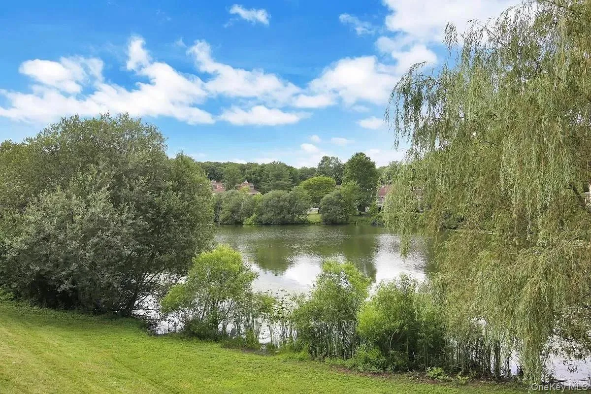 Water view with a heavily wooded area Water view with a heavily wooded area