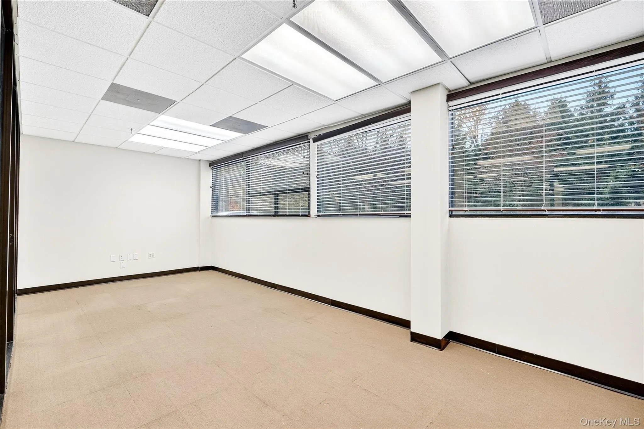 Empty room with a paneled ceiling and light carpet Empty room with a paneled ceiling and light carpet