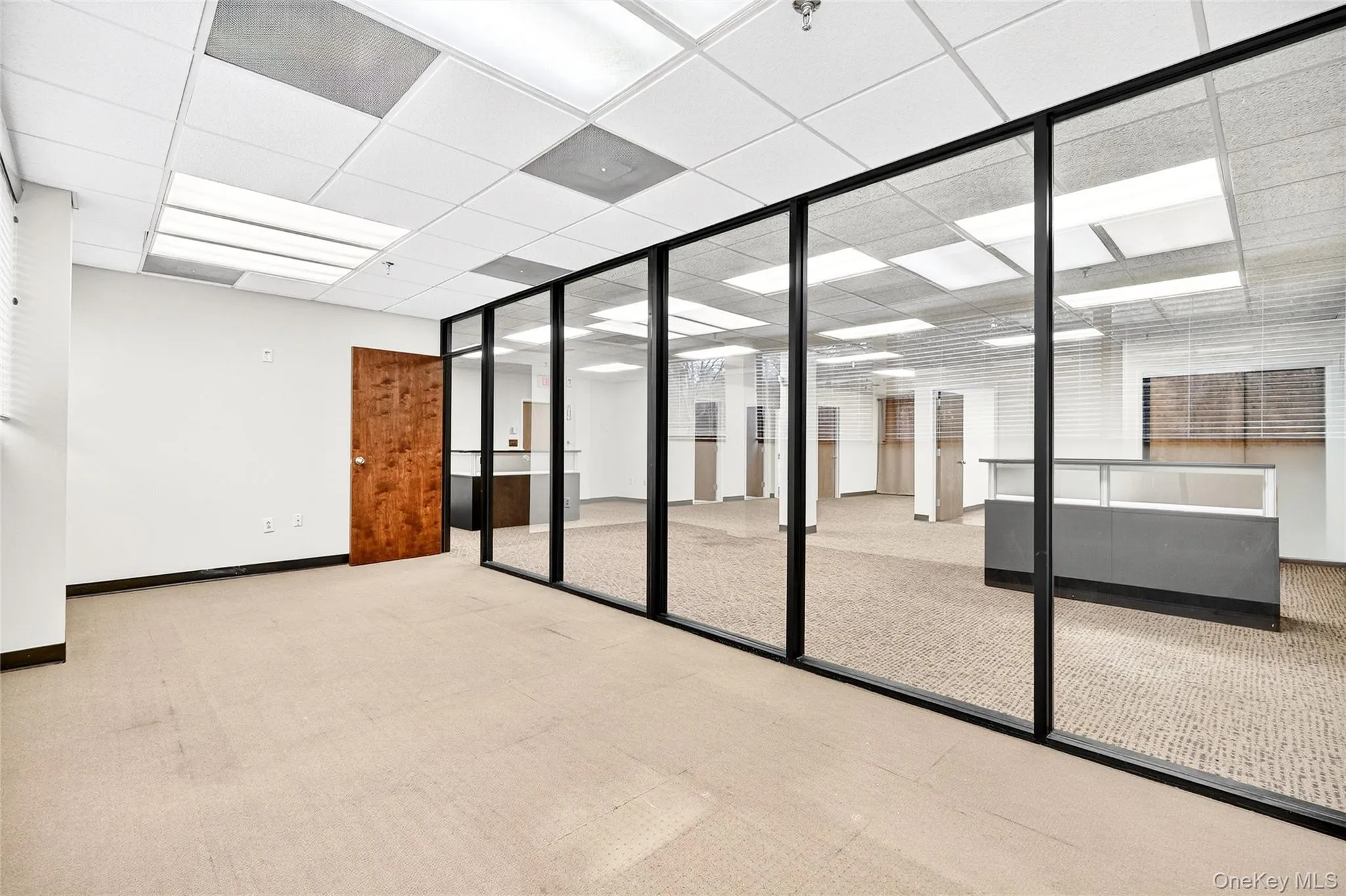 Empty room with carpet and a drop ceiling Empty room with carpet and a drop ceiling