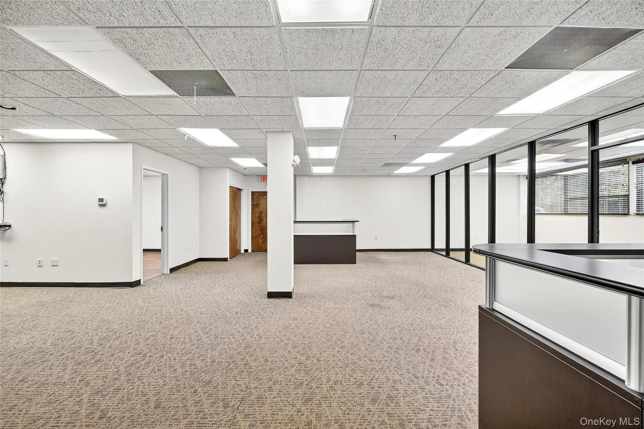 Unfurnished room featuring light colored carpet and a drop ceiling Unfurnished room featuring light colored carpet and a drop ceiling