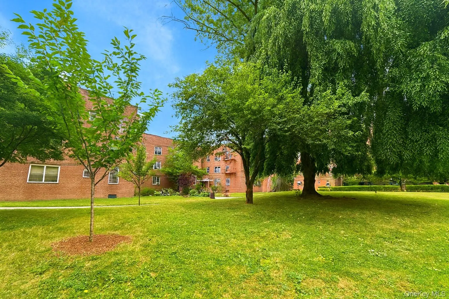 View of green lawn View of green lawn