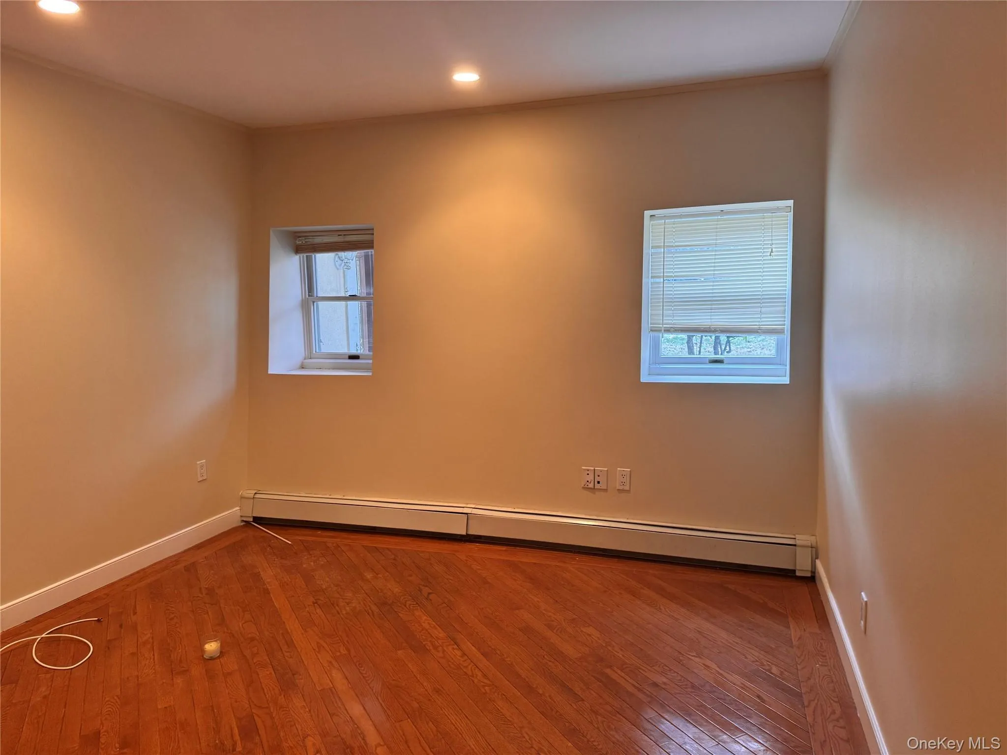 Spare room featuring a baseboard radiator, hardwood / wood-style flooring, crown molding, and recessed lighting Spare room featuring a baseboard radiator, hardwood / wood-style flooring, crown molding, and recessed lighting