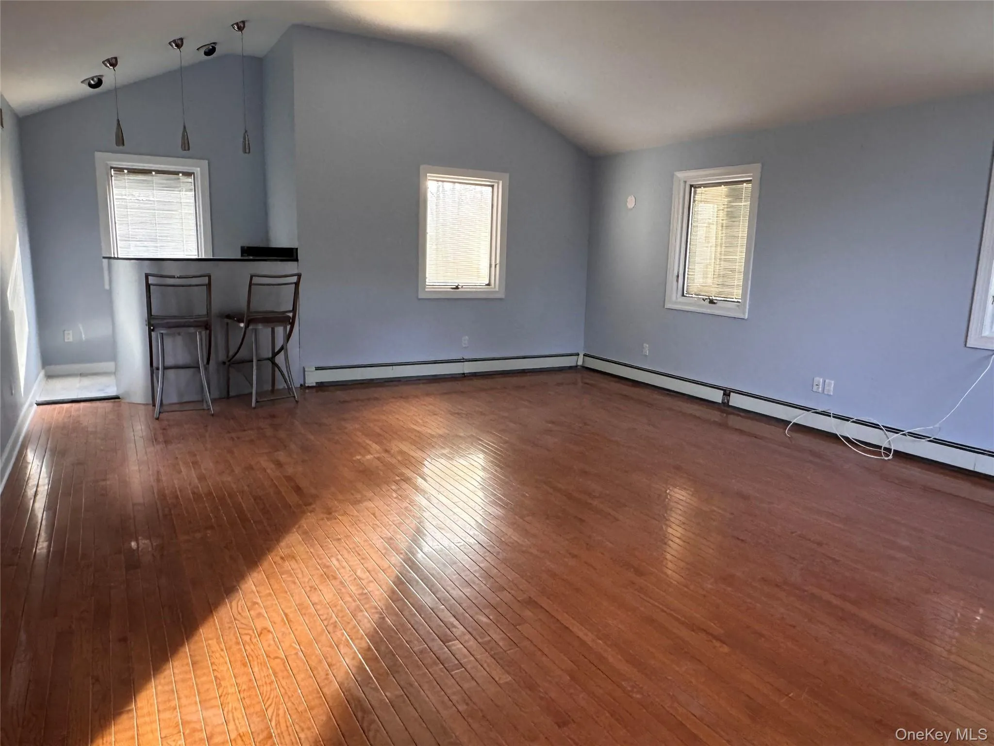 Unfurnished living room with plenty of natural light, dark wood-type flooring, a baseboard heating unit, and vaulted ceiling Unfurnished living room with plenty of natural light, dark wood-type flooring, a baseboard heating unit, and vaulted ceiling