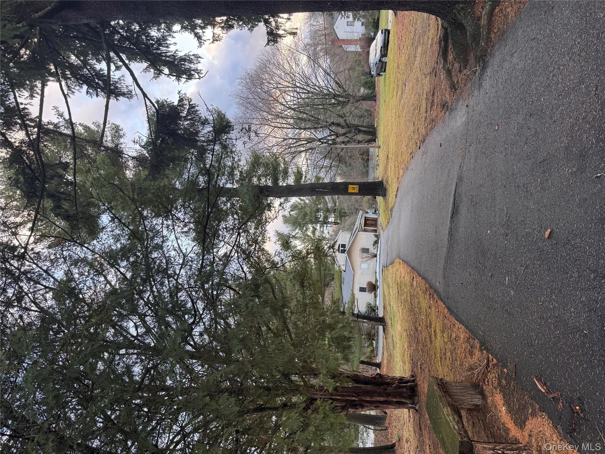 View of asphalt driveway with view of scattered trees View of asphalt driveway with view of scattered trees