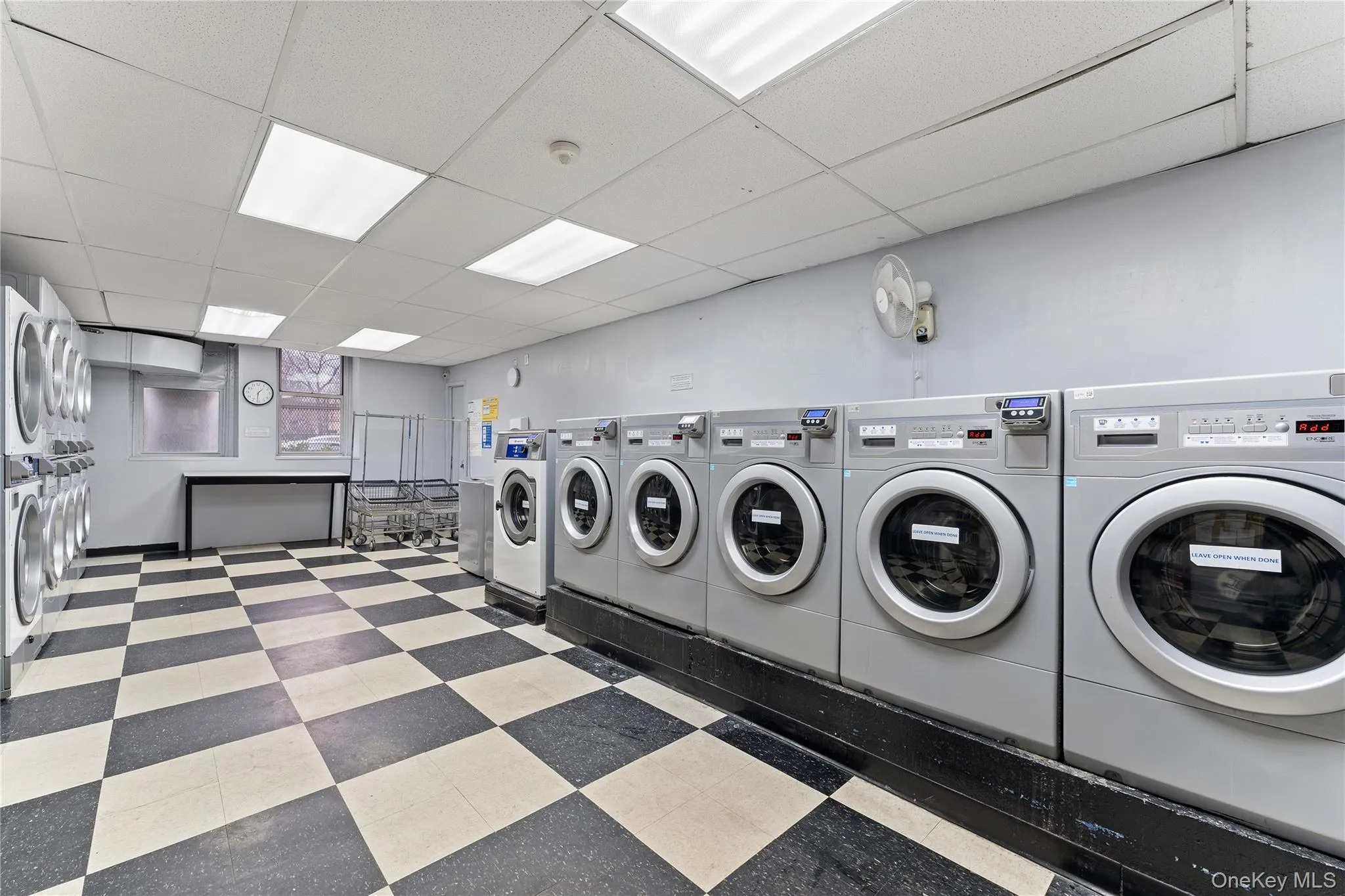 Large, spacious common laundry area in building basement Large, spacious common laundry area in building basement