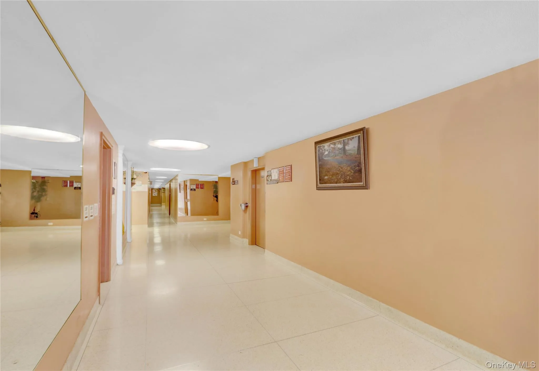 3201 Grand Concourse, New York, NY, 1 Bedroom Bedrooms, 3 Rooms Rooms,1 BathroomBathrooms,Residential,For Rent,Grand Concourse,0,951635 3201 Grand Concourse, New York, NY, 1 Bedroom Bedrooms, 3 Rooms Rooms,1 BathroomBathrooms,Residential,For Rent,Grand Concourse,0,951635