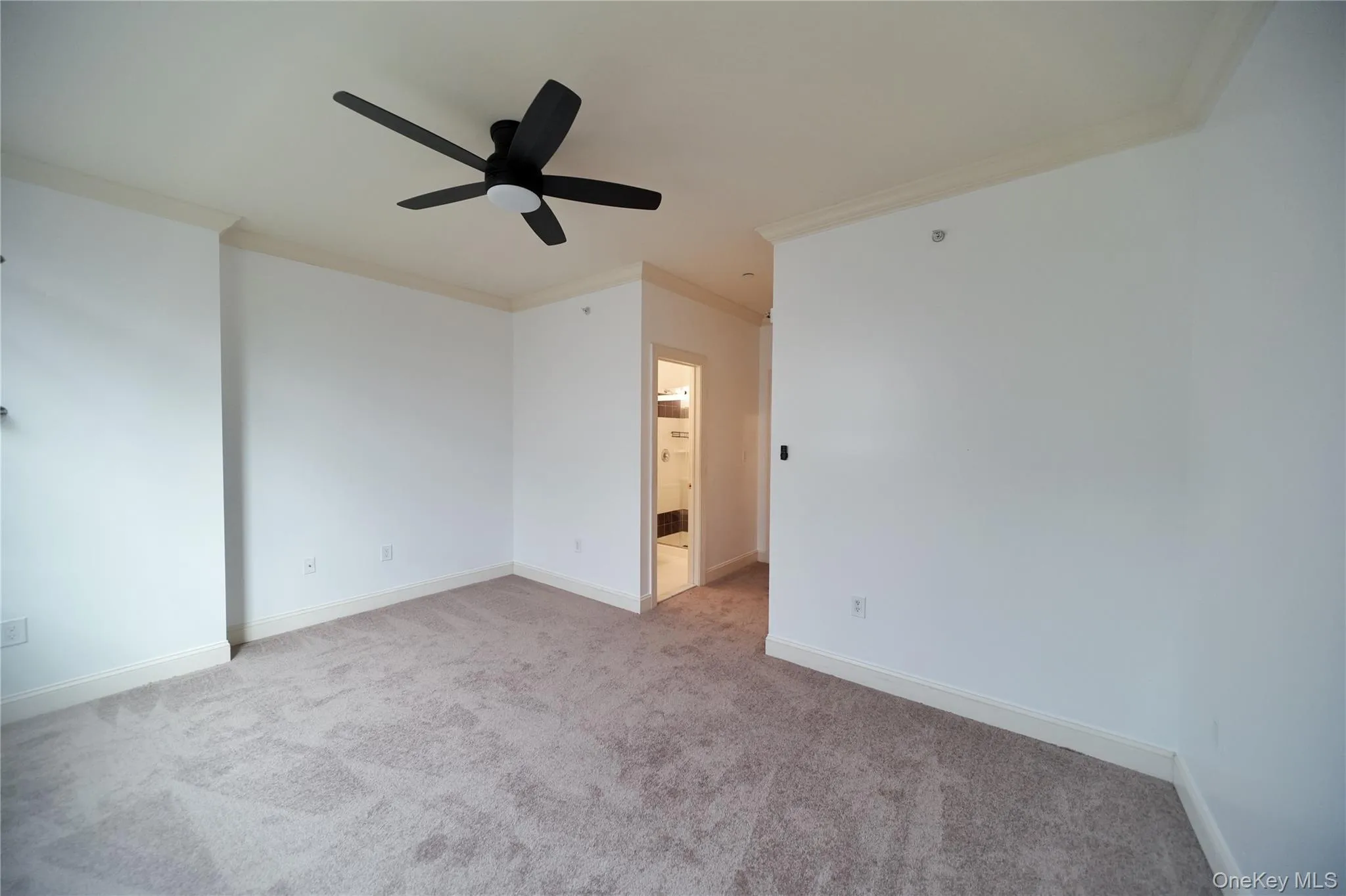 Primary bedroom w/ brand new ceiling fan and new carpeting. Primary bedroom w/ brand new ceiling fan and new carpeting.