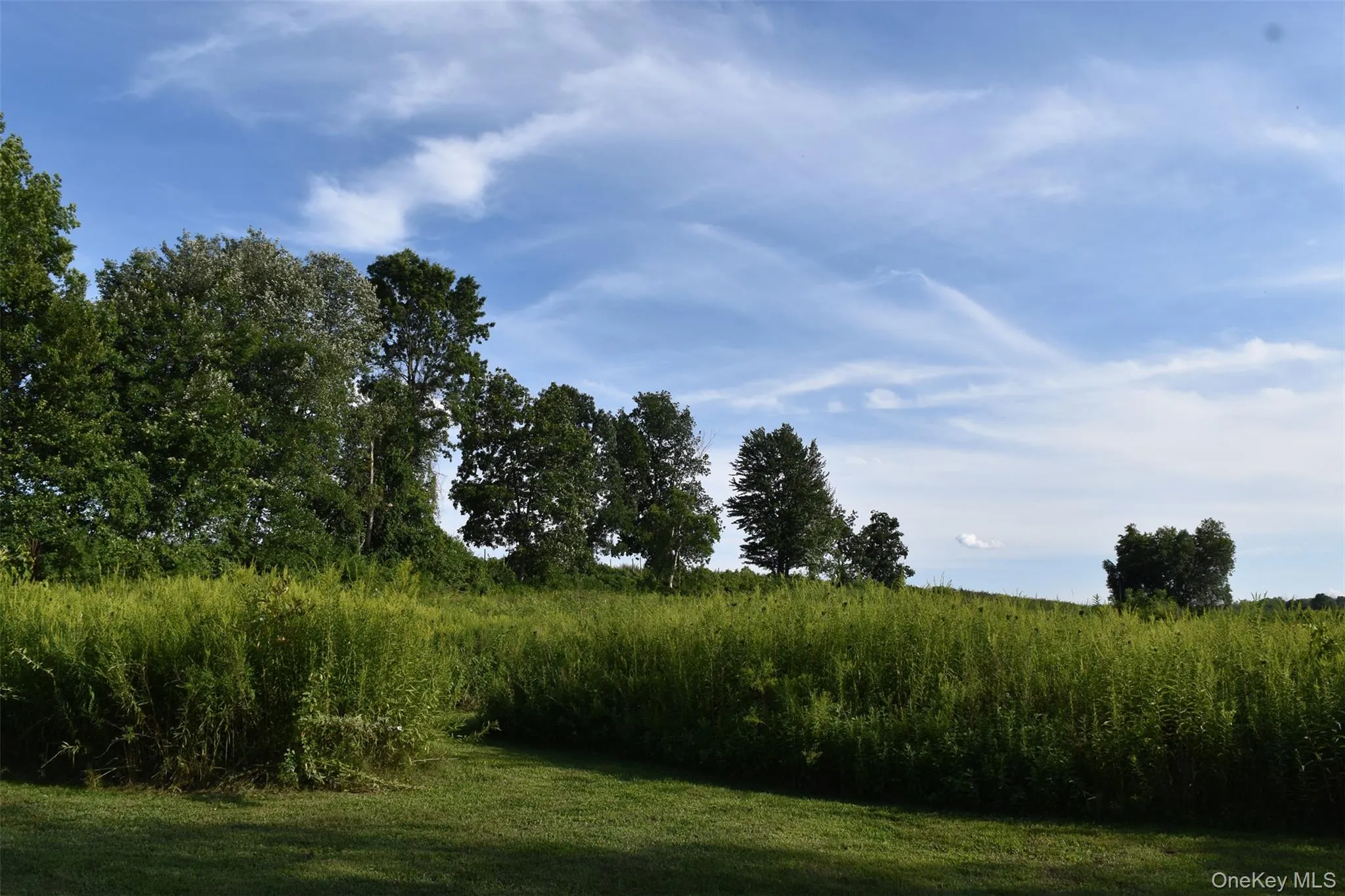 188 South Road, Red Hook, NY, 2 Bedrooms Bedrooms, 5 Rooms Rooms,1 BathroomBathrooms,Residential Lease,Idx,South,0,951895 188 South Road, Red Hook, NY, 2 Bedrooms Bedrooms, 5 Rooms Rooms,1 BathroomBathrooms,Residential Lease,Idx,South,0,951895