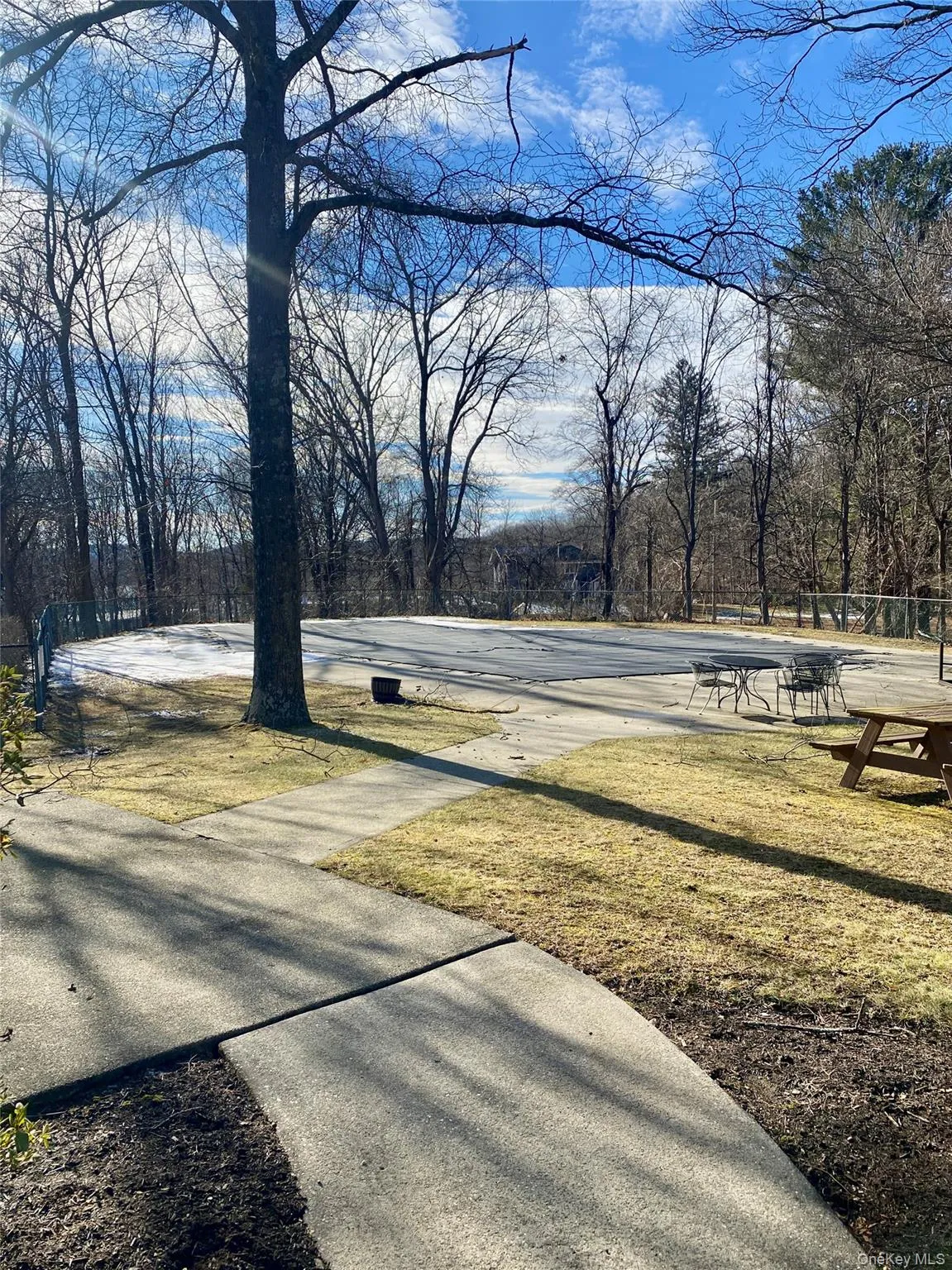 The in ground pool The in ground pool