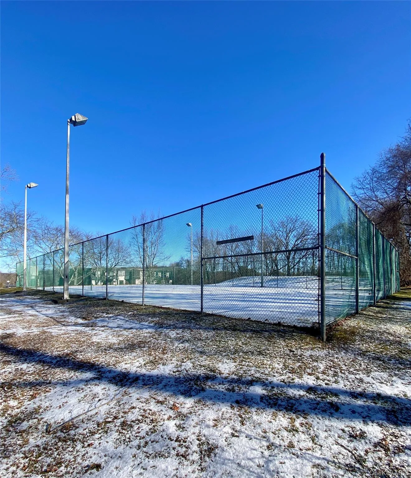 The tennis courts with lights for night play The tennis courts with lights for night play