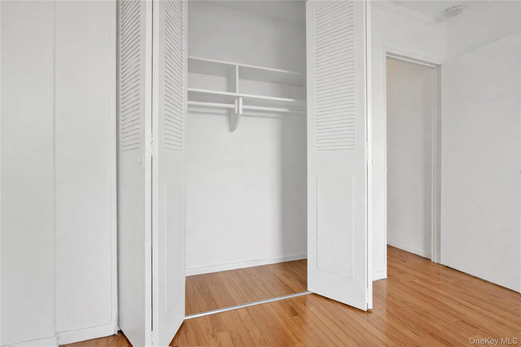 66-01 Burns Street, New York, NY, 1 Bedroom Bedrooms, 3 Rooms Rooms,1 BathroomBathrooms,Residential Lease,For Rent,Burns,0,951949 66-01 Burns Street, New York, NY, 1 Bedroom Bedrooms, 3 Rooms Rooms,1 BathroomBathrooms,Residential Lease,For Rent,Burns,0,951949