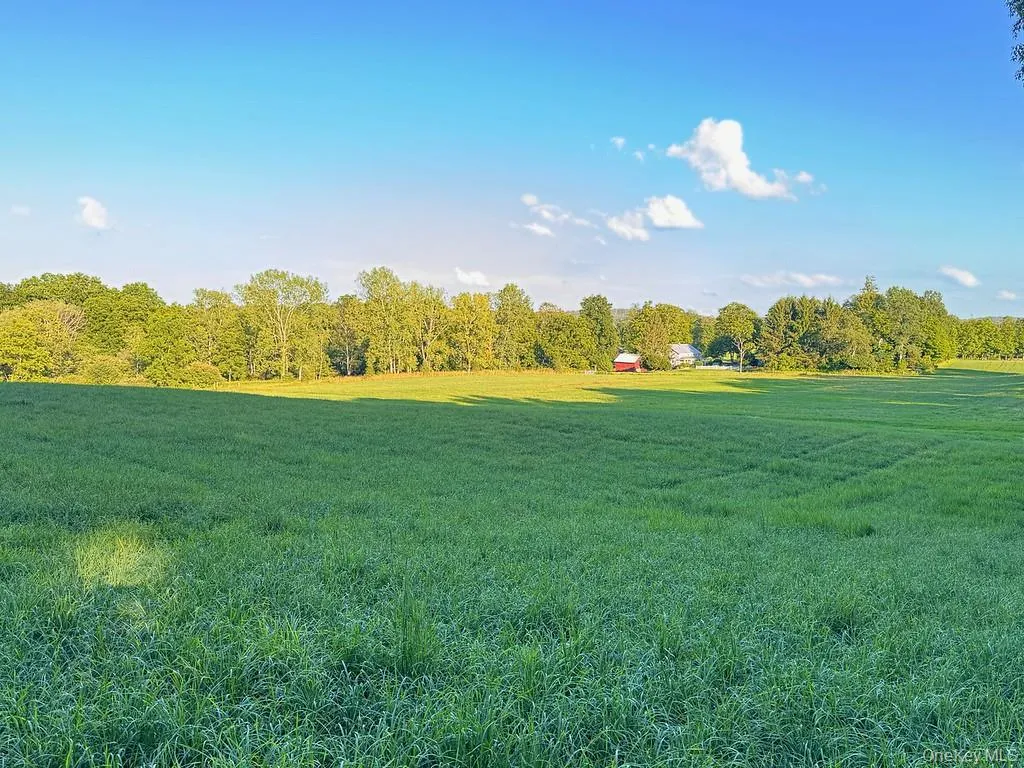 Meadows Meadows