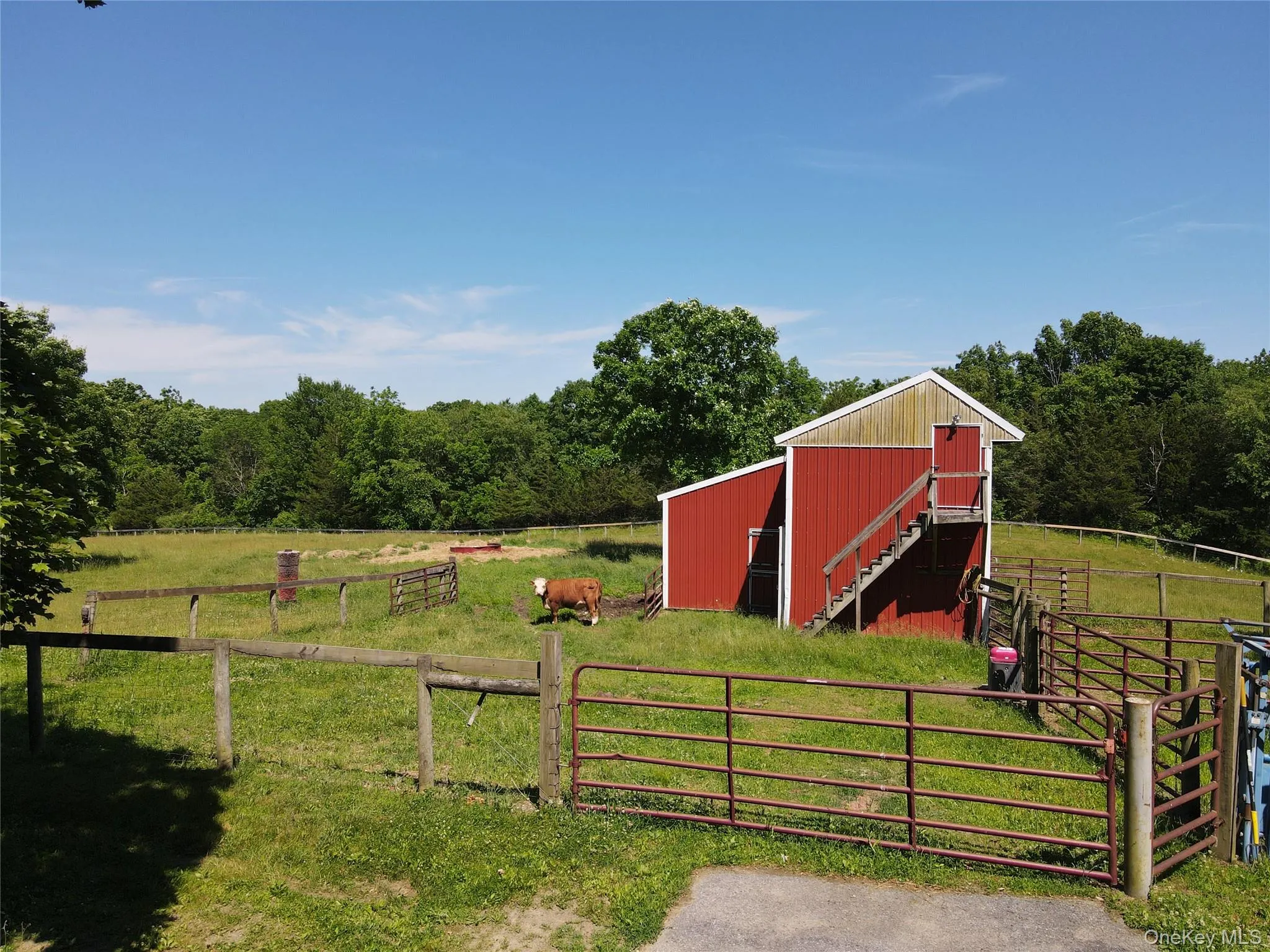 Barn and paddocks Barn and paddocks