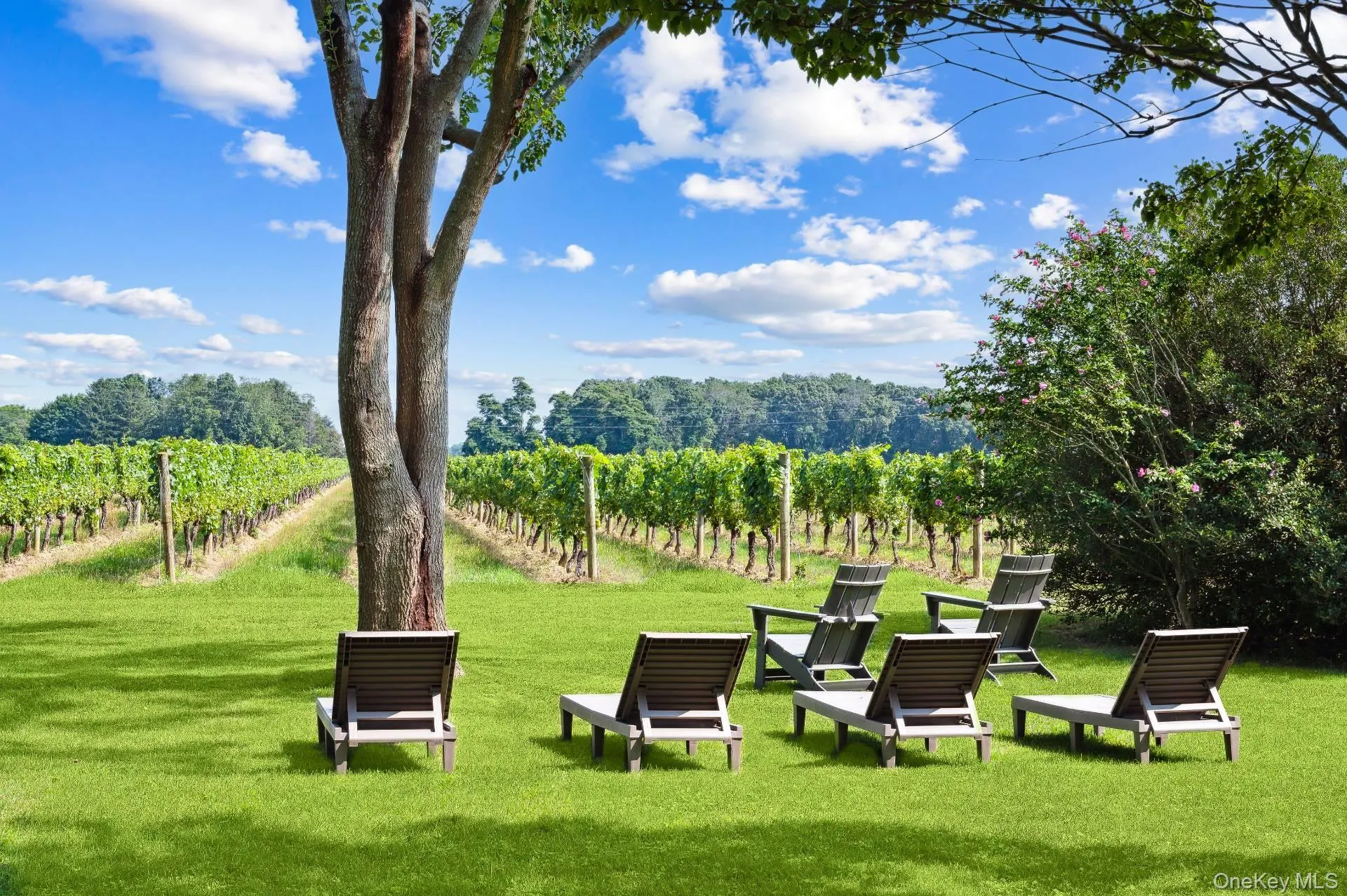 2600 Oregon Road 2600 Oregon Road